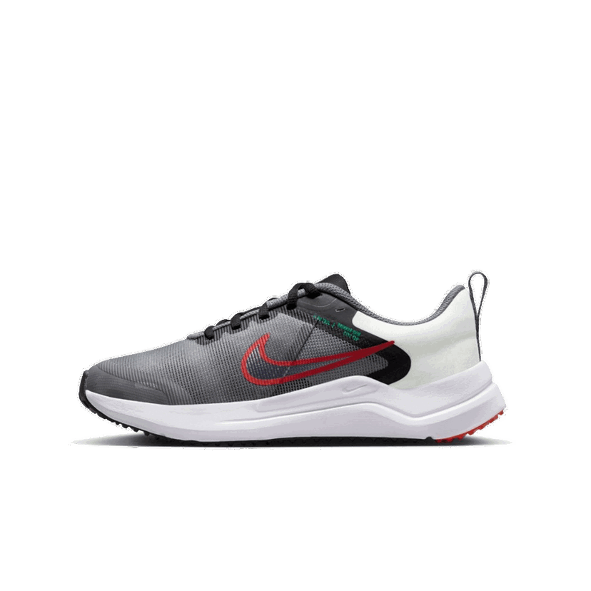 Tenisky a topánky Nike Downshifter 12 Šedá | DM4194-007