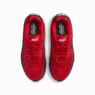 Tenisky a topánky Nike Air Max 90 SE Červená | IF2623-600, 2