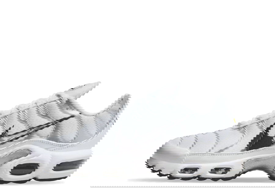 Tenisky a topánky Nike Air Max Plus "Silver Swoosh" W Metalická | DV3456-100, 1