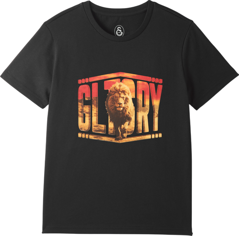 Tričko Puma Galatasaray Istanbul Glory Lion Graphic T-Shirt Čierna | e251068-010, 0