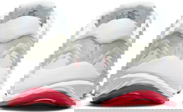 Tenisky a topánky Nike Air Zoom Structure 24 Biela | da8570-103, 4
