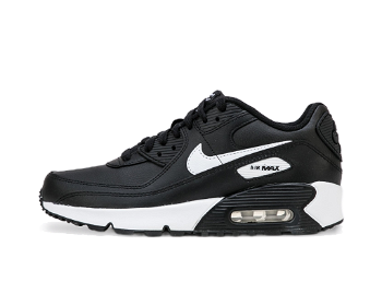 Nike Air Max 90 Leather GS CD6864-010