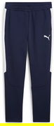 Puma teamEVOSTRIPE Pants