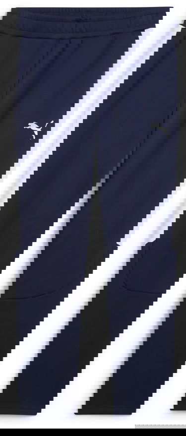 Tepláky Puma Puma teamEVOSTRIPE Pants Navy | 659948-06, 0