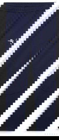 Puma teamEVOSTRIPE Pants