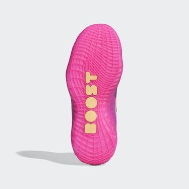 Tenisky a topánky adidas Performance Harden Vol. 5 Futurenatural Fialová | FZ1083, 2