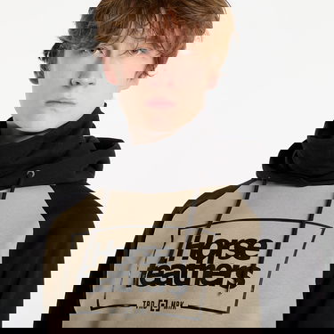 Mikina Horsefeathers Raglan Sleeve Graphic Hoodie Sherman Rôznofarebný | SM1166L, 4