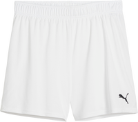 Puma teamGOAL Handball Shorts
