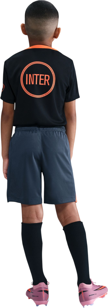 Šortky Nike Dri-FIT Inter Milan Stadium Third Shorts 2025/26 Navy | hm4430-437, 1