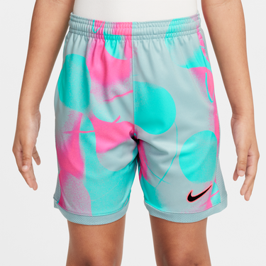 Šortky Nike Dri-FIT Academy+ Shorts Rôznofarebný | HJ3827-646, 3