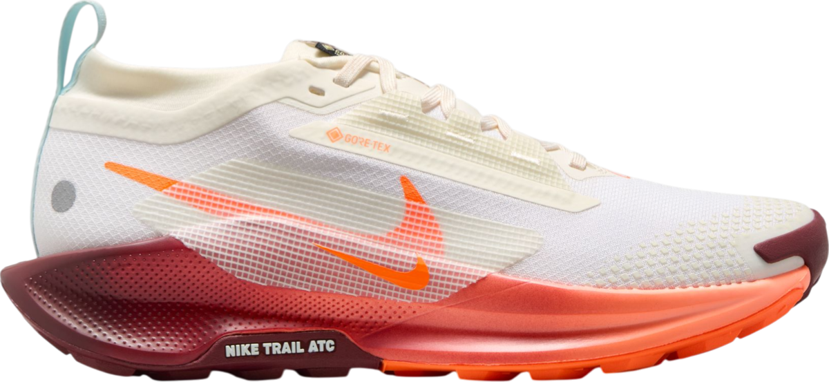 Tenisky a topánky Nike Pegasus Trail 5 GORE-TEX Biela | fq0912-104, 0