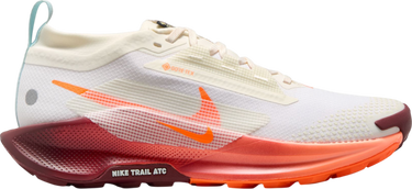 Tenisky a topánky Nike Pegasus Trail 5 GORE-TEX Biela | fq0912-104, 0