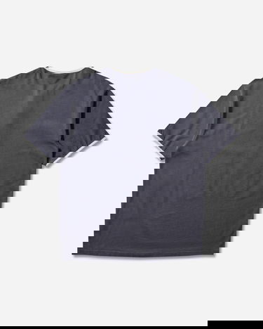 Tričko Champion Index and Archives Sunset Chimayo Coyotes Graphic Henley T-Shirt with Contrast Trim Šedá | 221839 ES524, 2