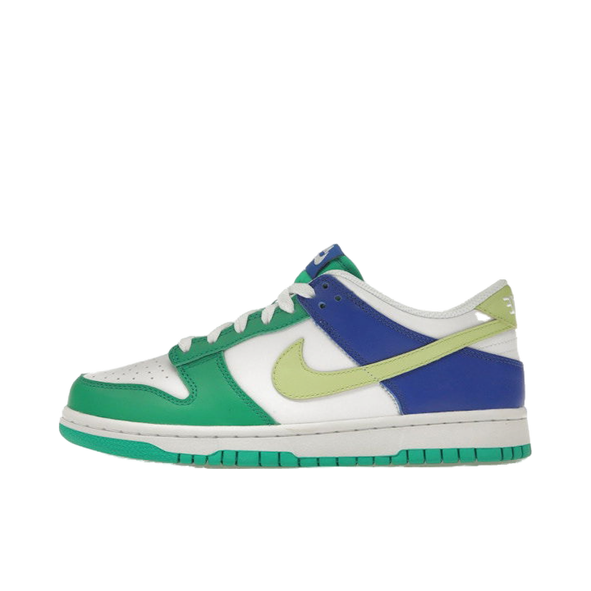 Tenisky a topánky Nike Dunk Low Rôznofarebný | FN6973-100
