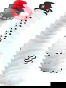 Pro Racing Socks v4.0 Ultralight Run High Compression Socks