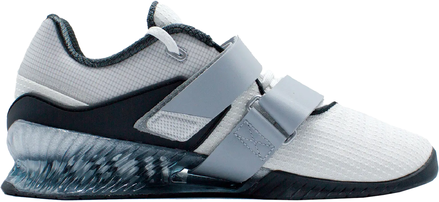 Tenisky a topánky Nike ROMALEOS 4 SE Šedá | fz8663-100, 1