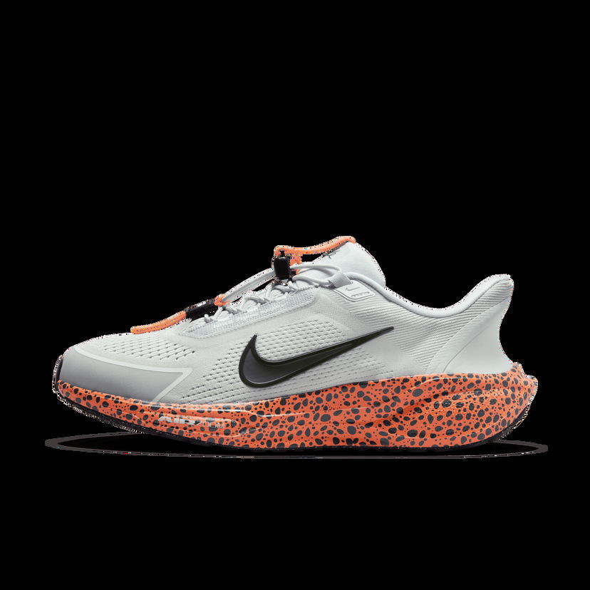 Tenisky a topánky Nike Pegasus EasyOn Electric Rôznofarebný | HF5457-900