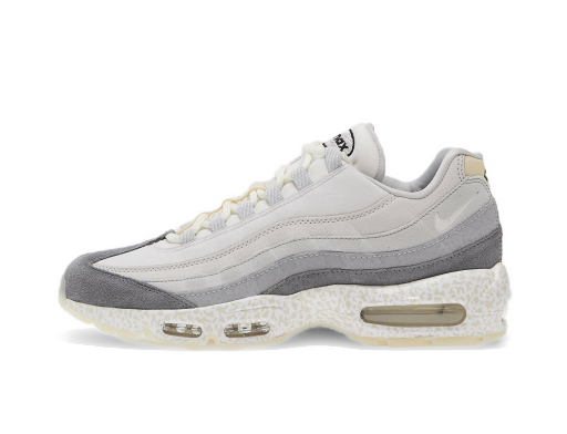 Tenisky a topánky Nike Air Max 95 QS Šedá | DV2593-100