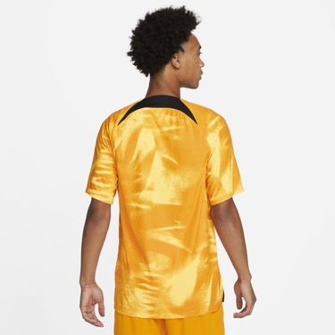 Dres Nike Netherlands 2022/23 Match Home Dri-FIT ADV Football Shirt Oranžová | DN0629-845, 2