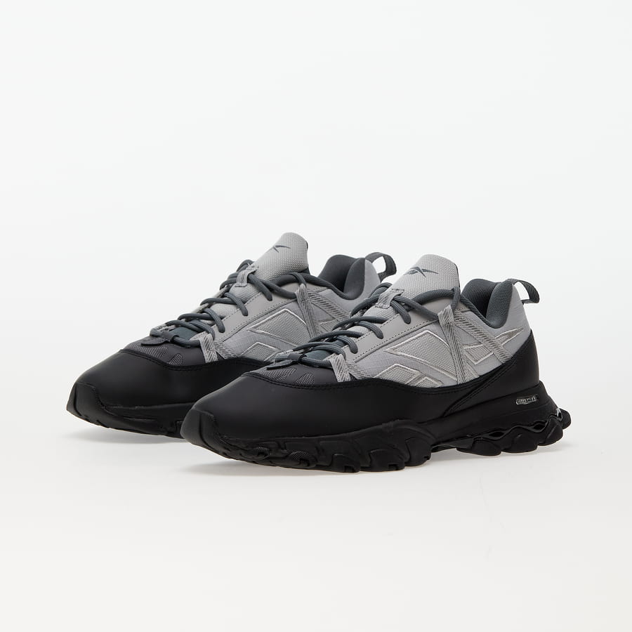 Tenisky a topánky Reebok DMX Trail Shadow Šedá | GY1924, 1