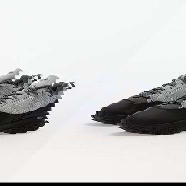 Tenisky a topánky Reebok DMX Trail Shadow Šedá | GY1924, 1