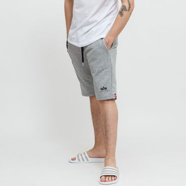 Šortky Alpha Industries Big Letters Shorts Šedá | 126344-17, 1