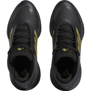 Tenisky a topánky adidas Performance Bounce Legends Čierna | ie9278, 2