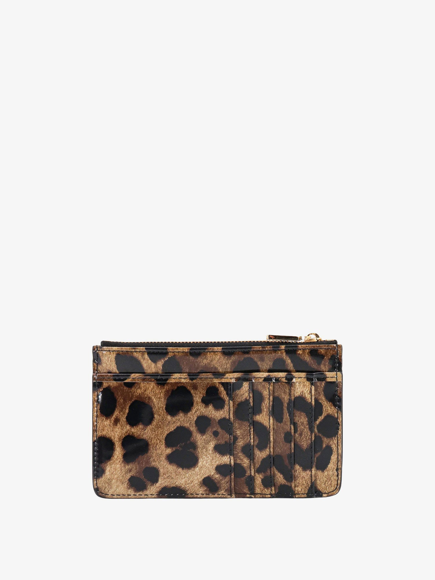 Peňaženka Dolce & Gabbana CARD HOLDER Hnedá | BI1261AM568HA93M, 1