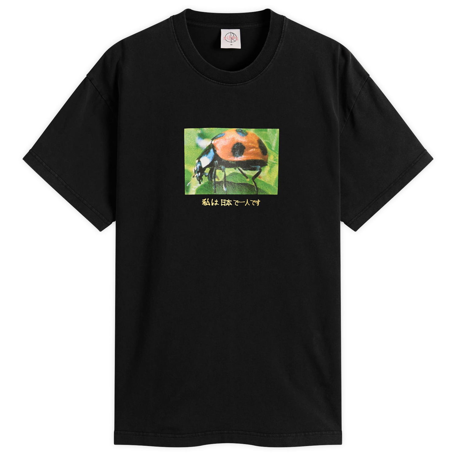 Tričko Polar Skate Co. Ladybug Graphic T-Shirt, Size Large Čierna | PSC-SU25-19-BLK, 1