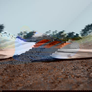 Tenisky a topánky adidas Performance ADIZERO SL 2 Biela | ih8194, 5