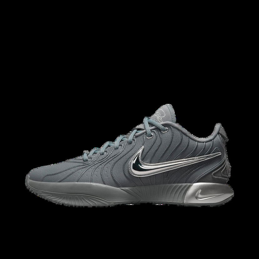 Tenisky a topánky Nike LeBron 21 Cool Grey Šedá | HF5353-001