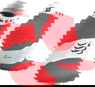 Compressport Pro Racing Socks v4.0 Run Low