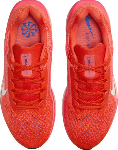 Tenisky a topánky Nike Winflo 11 Červená | fj9510-602, 2
