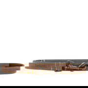 Brown Leather Dog Lead With Brass Hardware