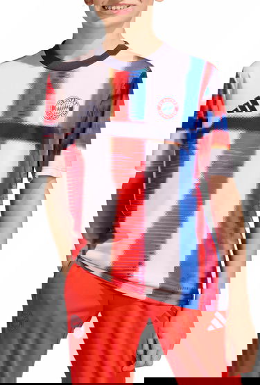 Dres adidas Originals FC Bayern Pre-Match 2025/26 Graphic T-Shirt Rôznofarebný | jz6261, 1