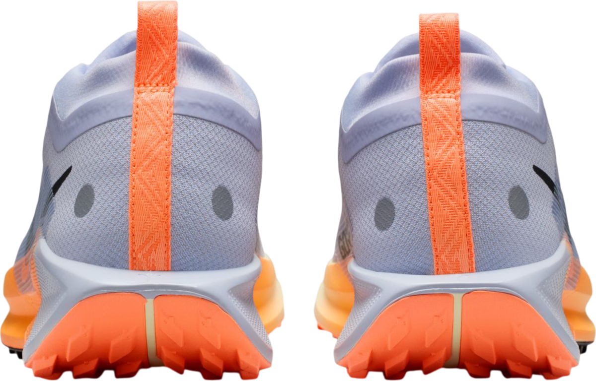Tenisky a topánky Nike Pegasus Trail 5 GORE-TEX Rôznofarebný | fq0908-011, 1