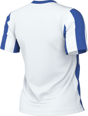 Dres Nike Striped Division V V-Neck Jersey with Mesh Panels Rôznofarebný | fz9339-101, 1