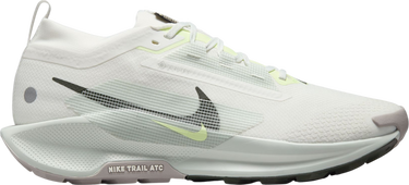 Tenisky a topánky Nike Pegasus Trail 5 GORE-TEX Biela | fq0908-102, 0
