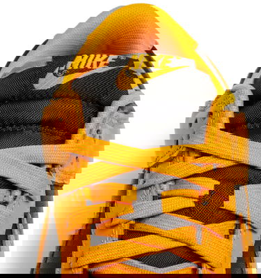 Tenisky a topánky Nike Dunk Low "Goldenrod" Žltá | DD1391-004, 6