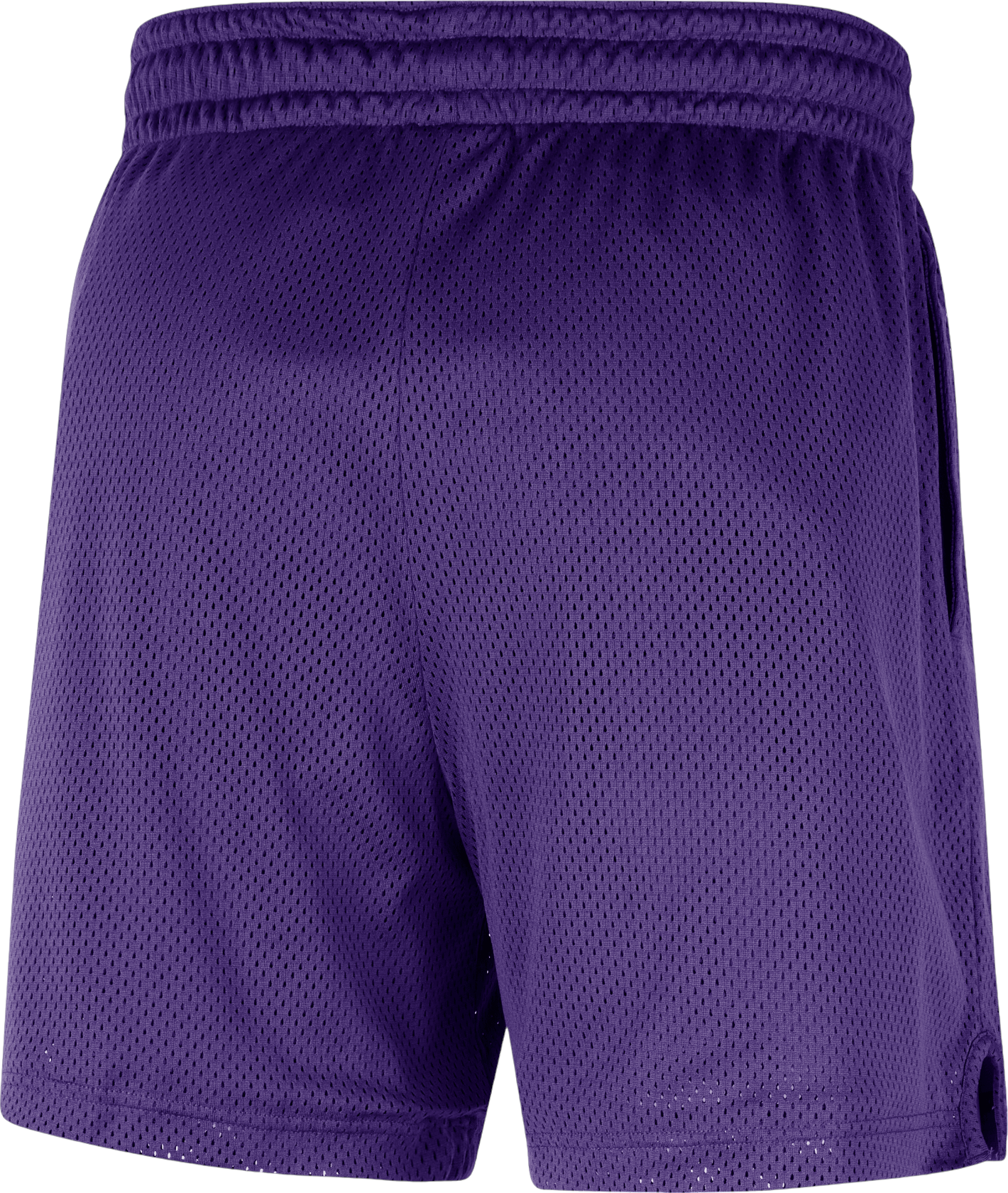 Šortky Nike Los Angeles Lakers Openhole Short Fialová | hm7345-504, 1