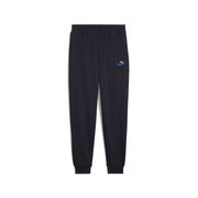 Essentials 2 Color Logo No. 1 Sweatpants