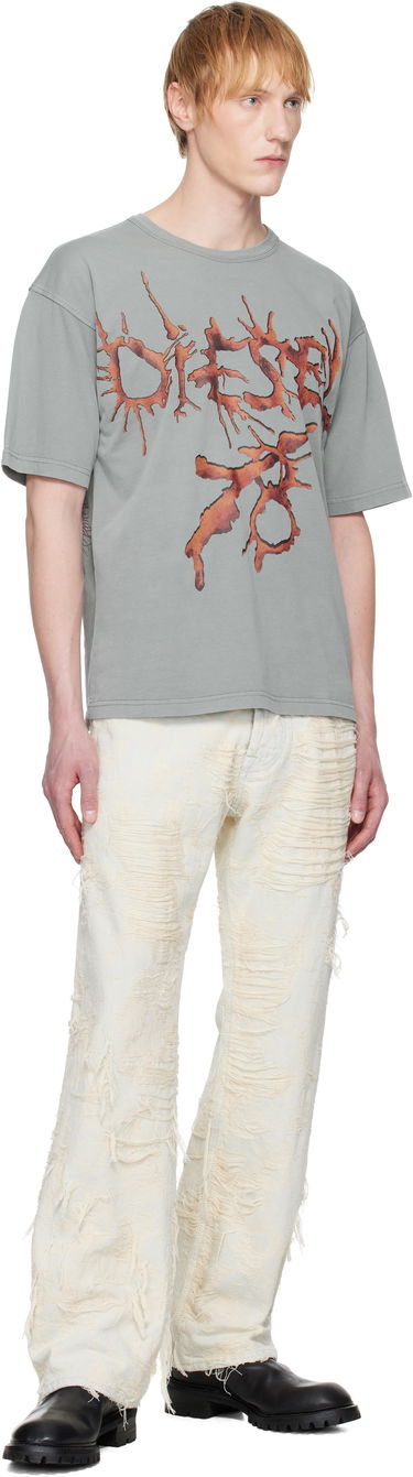 Tričko Diesel Diesel T-Boxt-R28 Graphic T-Shirt Šedá | A17639-0SLBT-9DU, 3