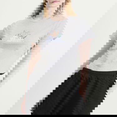 Tričko Dime Fluff T-Shirt Šedá | DIMEHO2515ASH, 2