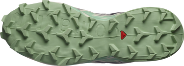Tenisky a topánky Salomon SPEEDCROSS 6 W Šedá | l47582000, 2