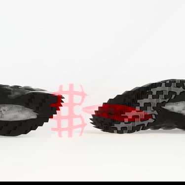 Tenisky a topánky Nike Air Max 95 OG 'Solar Red' Šedá | IM7410-001, 1