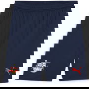 RBS Shorts Replica 2024/25