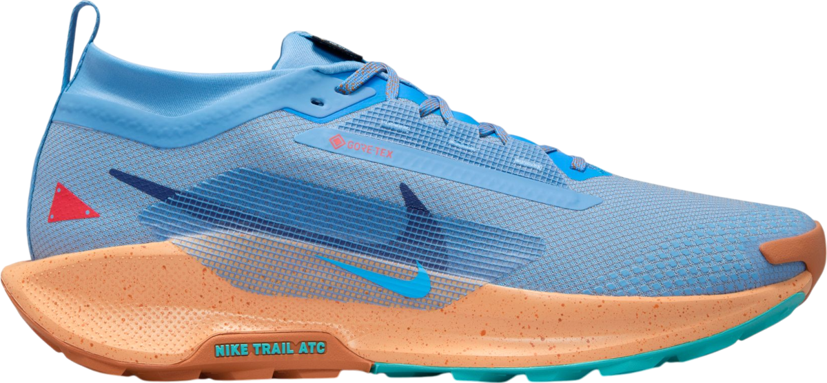 Tenisky a topánky Nike Pegasus Trail 5 GORE-TEX Modrá | fq0908-400, 0