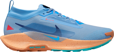 Tenisky a topánky Nike Pegasus Trail 5 GORE-TEX Modrá | fq0908-400, 0