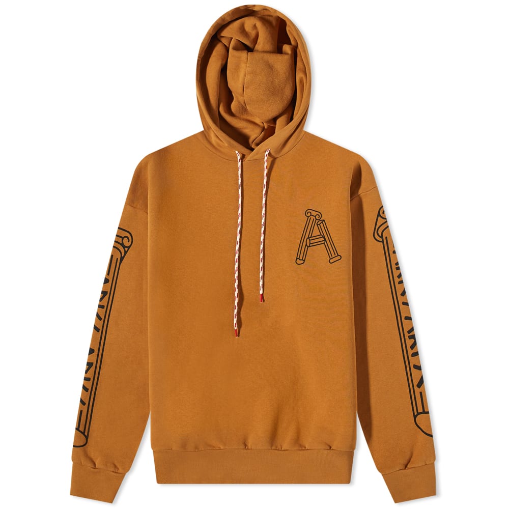Mikina Aries Aries Column Hoody Hnedá | FTAR20010-CML, 0