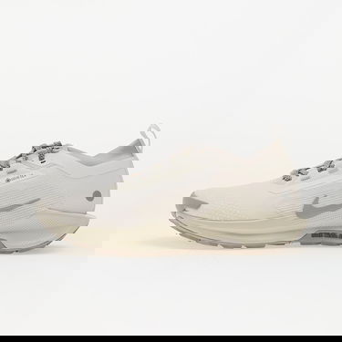 Tenisky a topánky Nike Pegasus Trail 5 Gore-Tex Béžová | HQ7494-100, 0